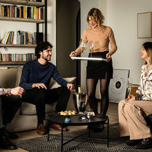 Load the image in the Gallery viewer, Champagne wine bucket peelope steel resin sambonet