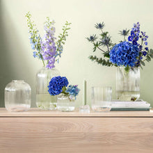 Carica l'immagine nel visualizzatore di Gallery, Fleur Vasi trasparenti bombati vetro Villeroy & Boch