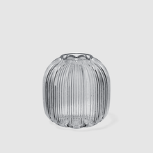 Carica l'immagine nel visualizzatore di Gallery, Fleur Vasi trasparenti bombati vetro Villeroy & Boch