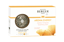 Load the image in the Gallery viewer, Lampe Berger Squests from Car Various Perfumes