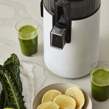 Load the image in the Gallery viewer, Hurom H400 latest generation gray juice extractor
