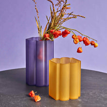 Load the image in the Gallery viewer, Kartell Vasi and Maxi Vases Okra Patricia Urquiola
