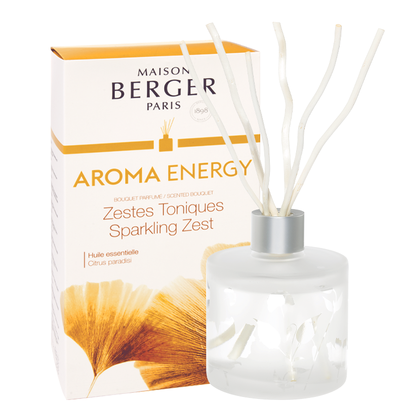 Maison Berger Environmental Perfumer with Energy Aroma Bacchetti