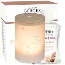 Load the image in the Gallery viewer, LAMPE BERGER Electrical diffuser essential oils aroma Relax
