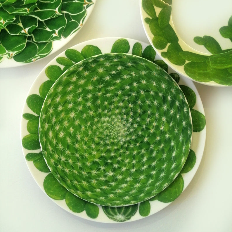 Taitù Servizio piatti Cactus porcellana 4 posti tavola