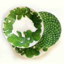 Load the image in the Gallery viewer, Taitu service cactus porcelain 4 seats table
