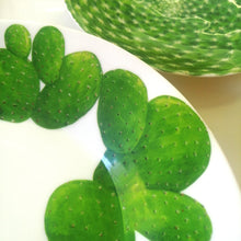Carica l&#39;immagine nel visualizzatore di Gallery, Taitù Servizio piatti Cactus porcellana 4 posti tavola
